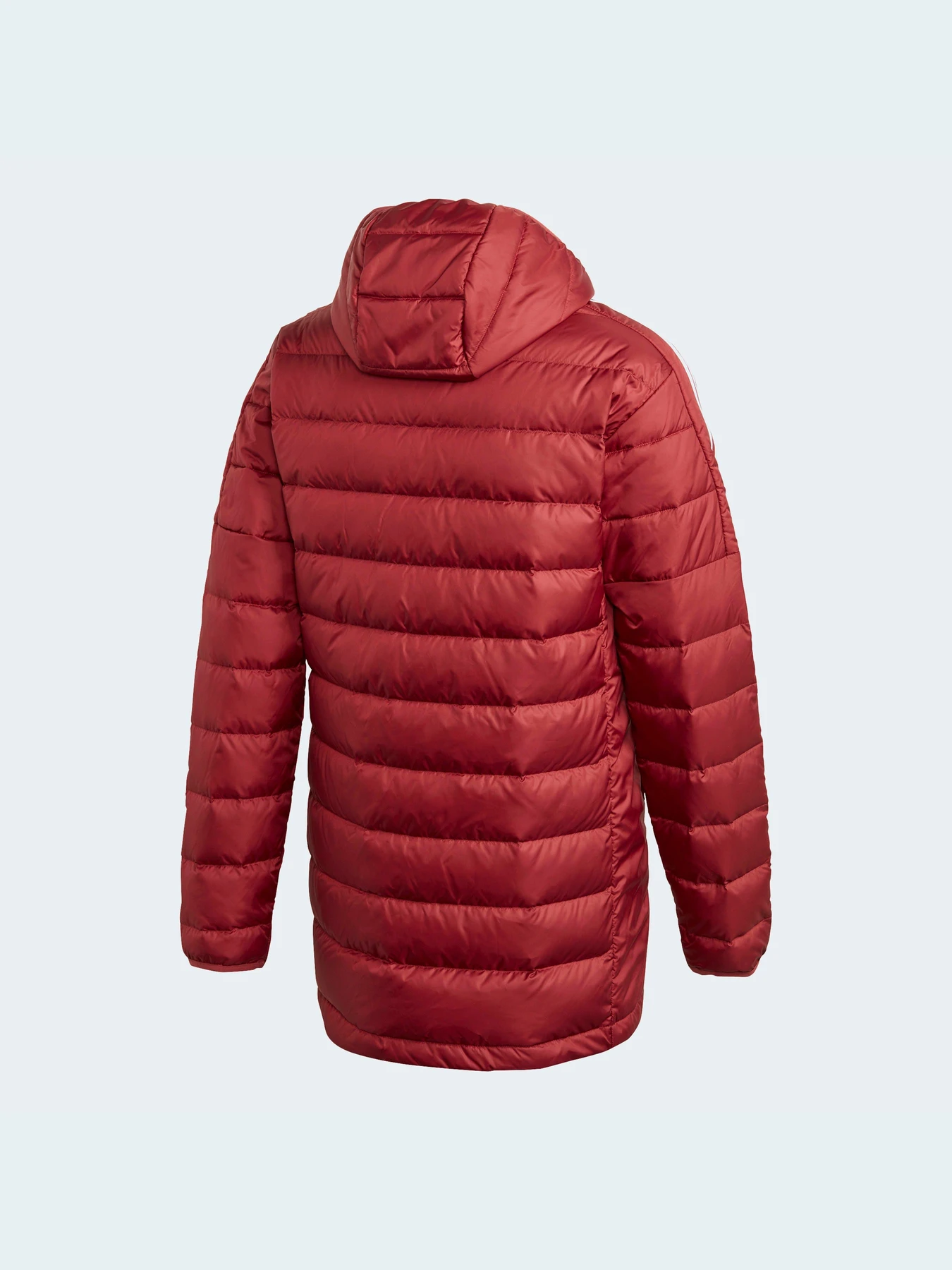 Куртки и дубленки Adidas модель GH4606 Фото