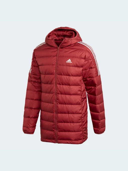 Куртки и дубленки Adidas модель GH4606 Фото