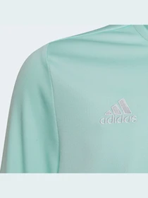 Худи и свитшоты Adidas модель HC5056 Фото