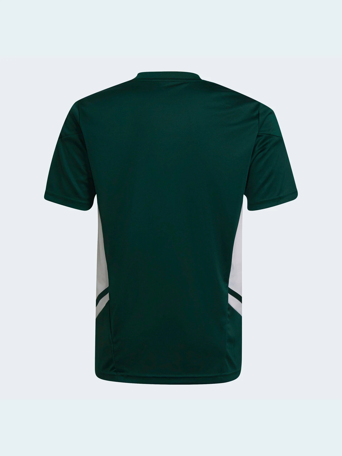 Футболки і поло Adidas Condivo модель HE3064 Футболки і поло Adidas Condivo модель HE3064 Фото