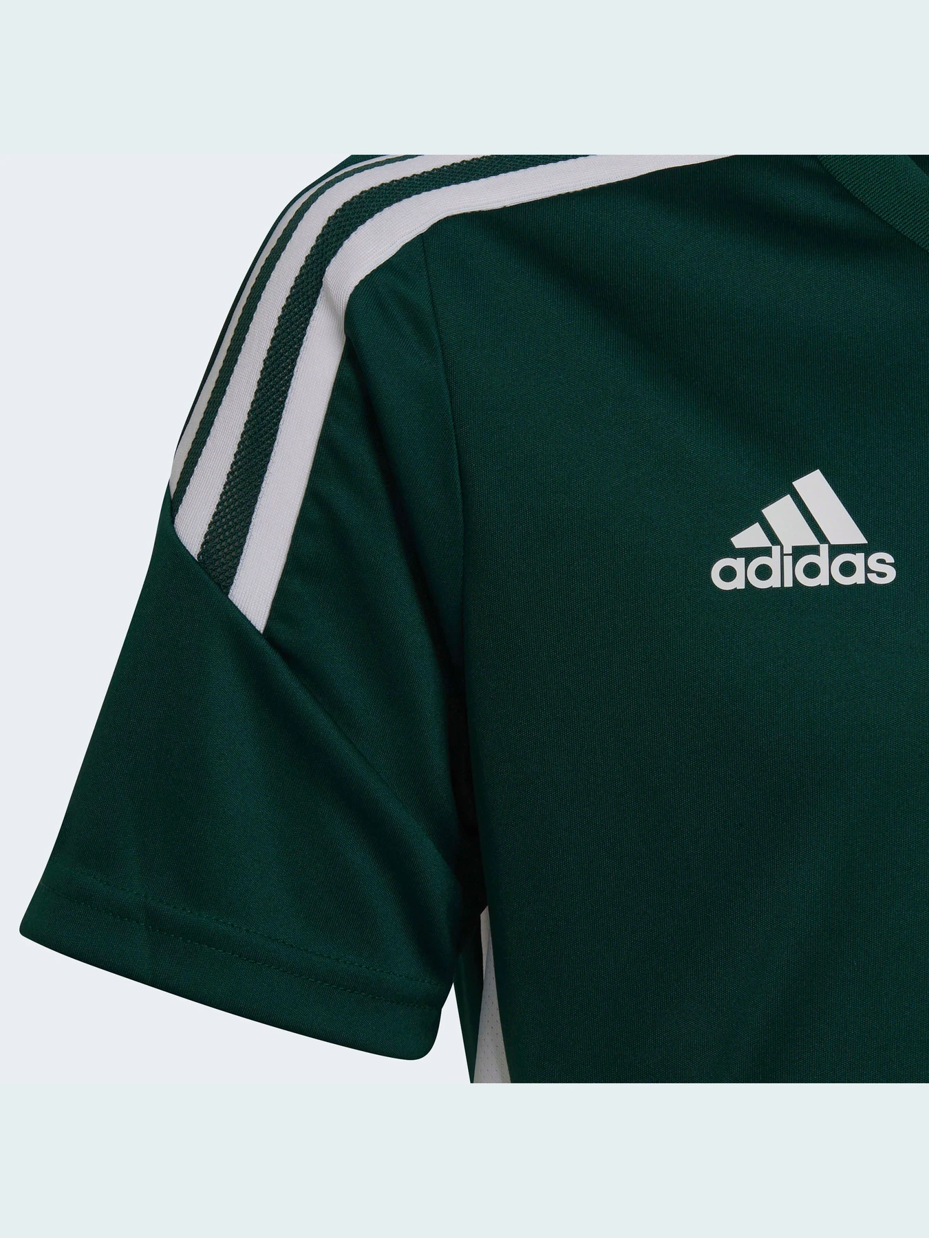 Футболки і поло Adidas Condivo модель HE3064 Футболки і поло Adidas Condivo модель HE3064 Фото
