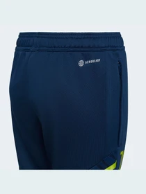 Брюки Adidas Condivo модель HA2638 Фото