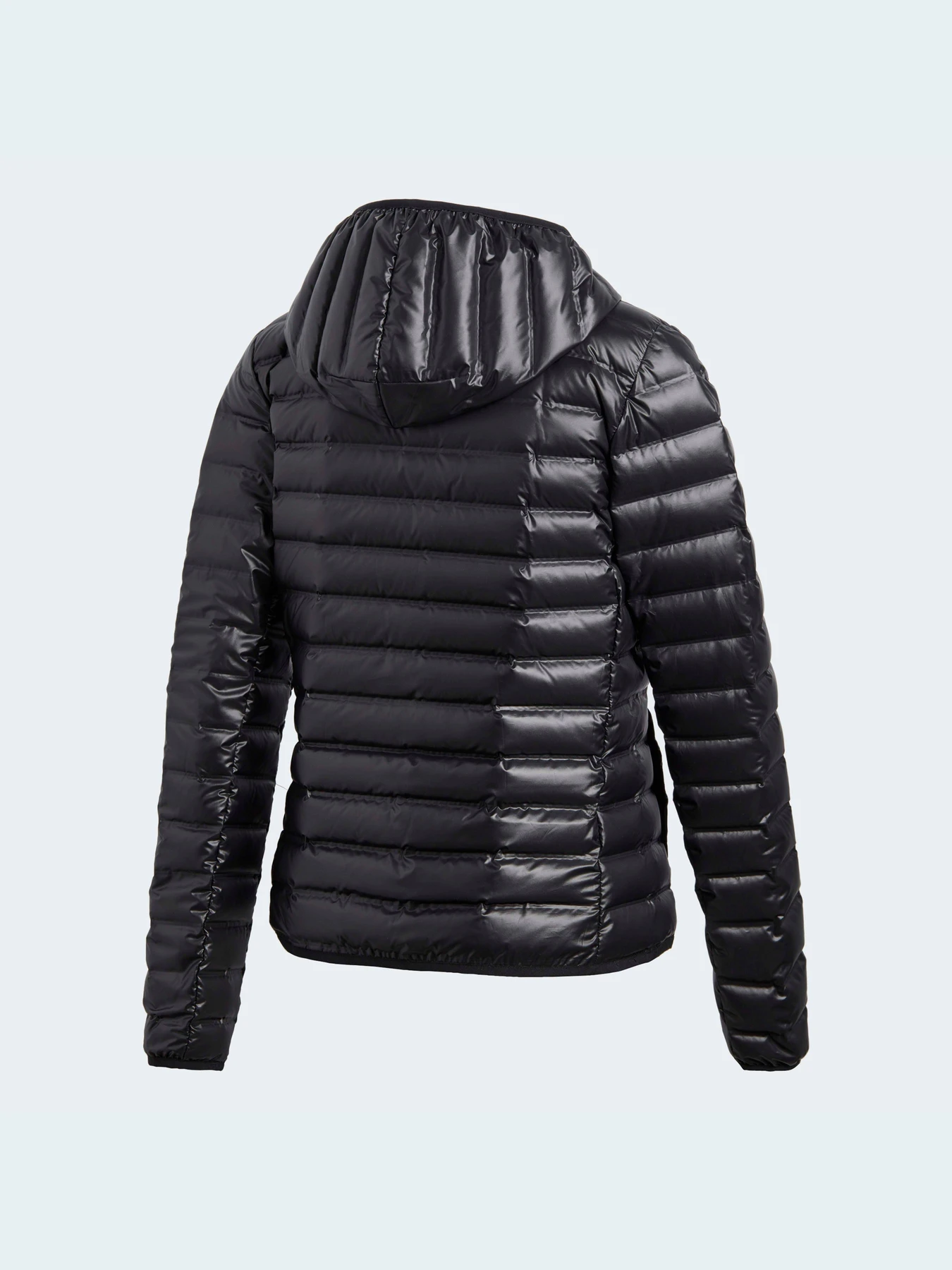 Куртки и дубленки Adidas модель BQ1968 Куртки и дубленки Adidas модель BQ1968 Фото