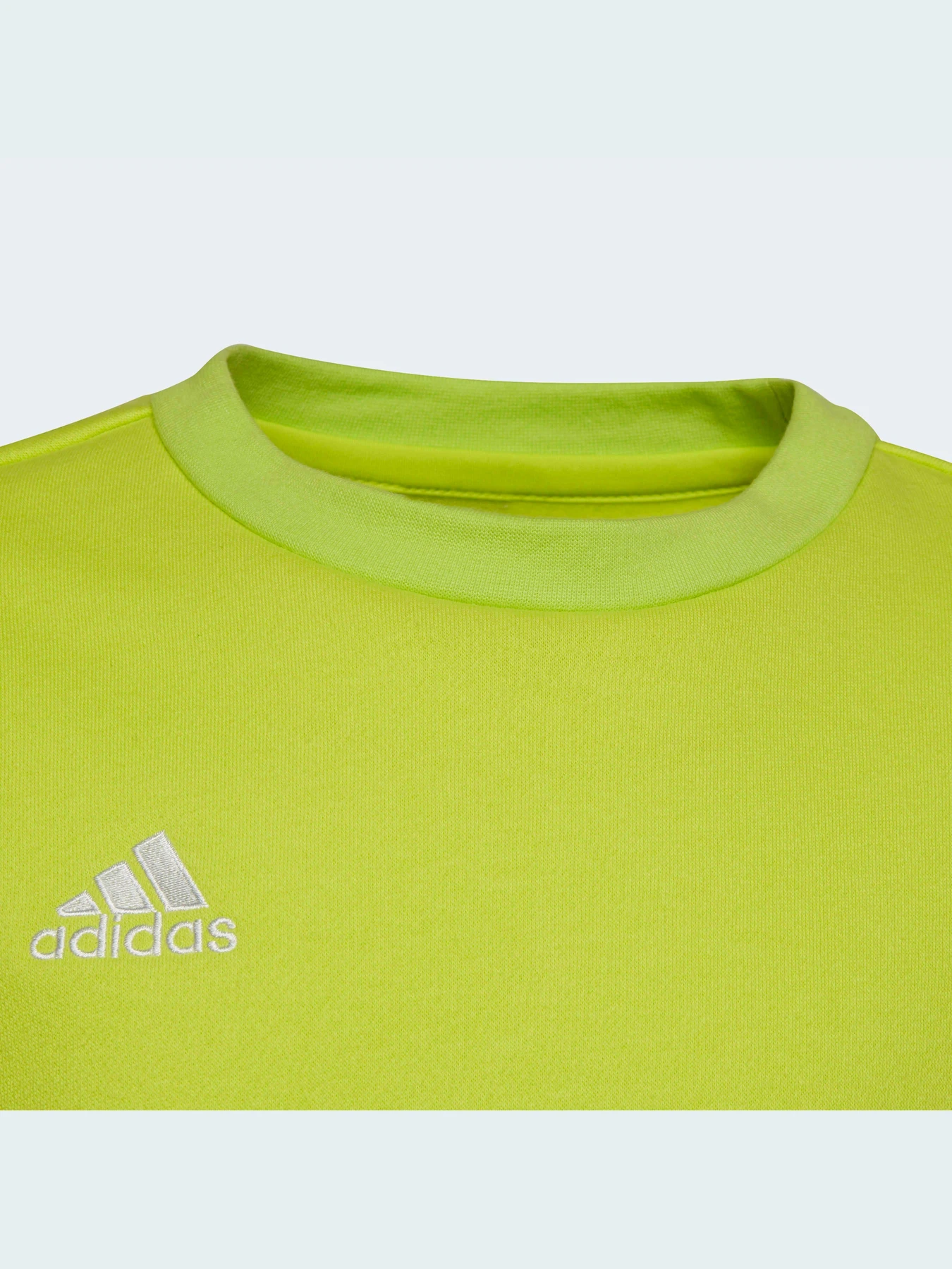 Худи и свитшоты Adidas модель HC5043 Фото