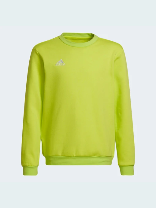 Худи и свитшоты Adidas модель HC5043 Фото