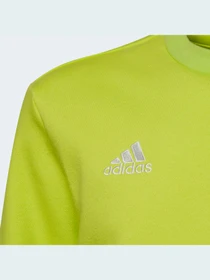 Худи и свитшоты Adidas модель HC5043 Фото