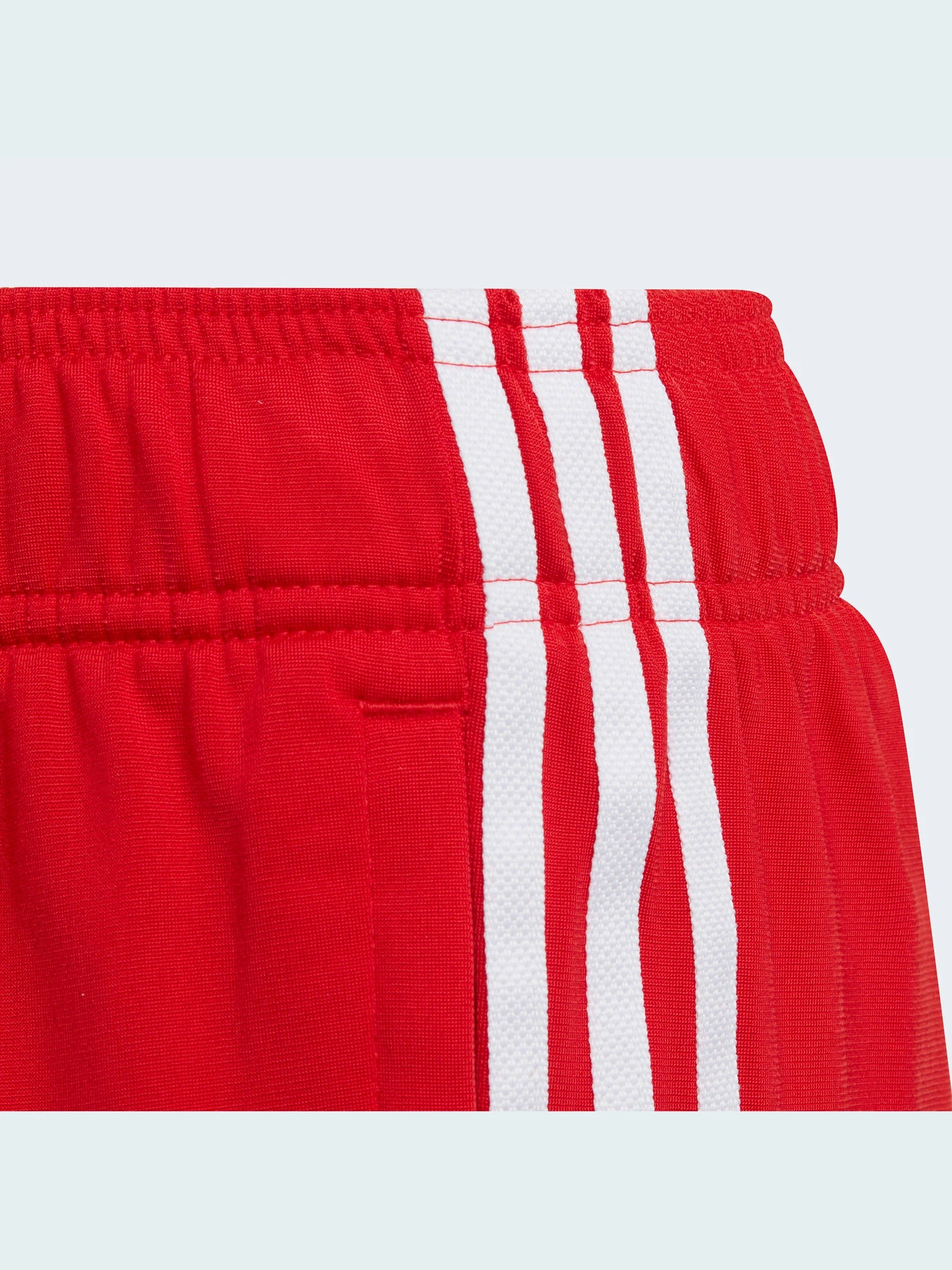 Штани Adidas Adicolor модель HD2047 Фото