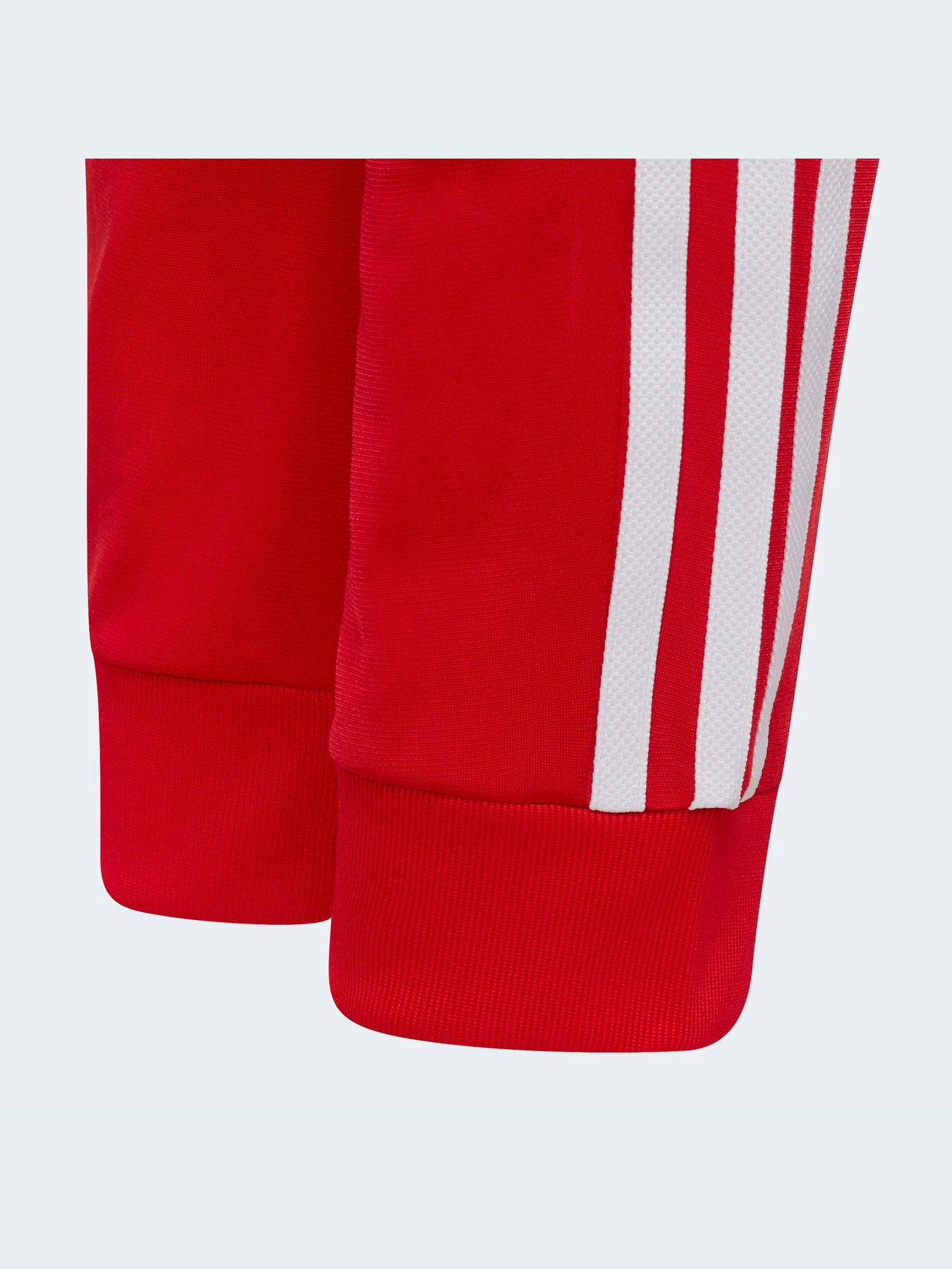 Штани Adidas Adicolor модель HD2047 Фото