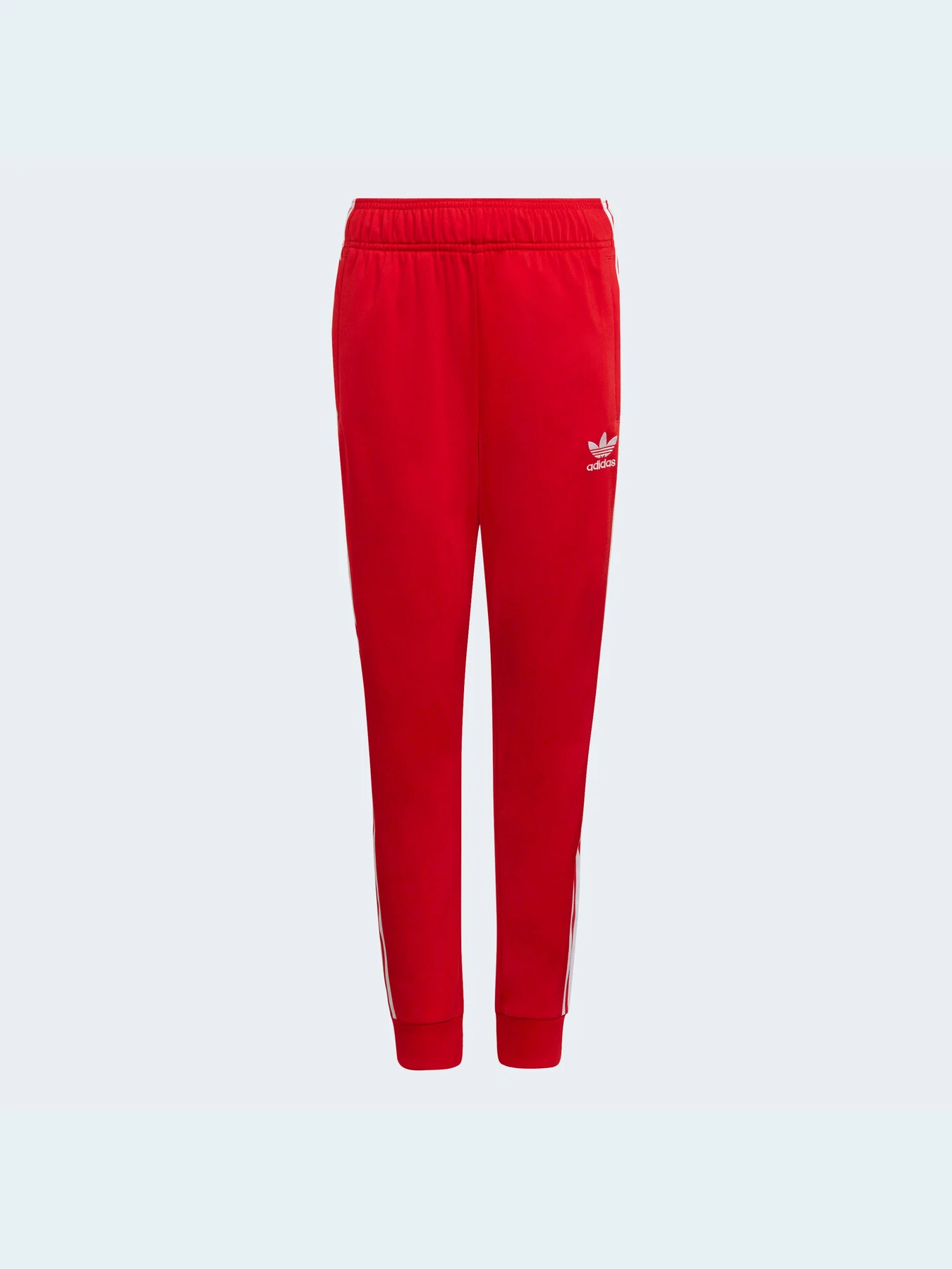 Штани Adidas Adicolor модель HD2047 Фото