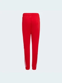 Штани Adidas Adicolor модель HD2047 Фото
