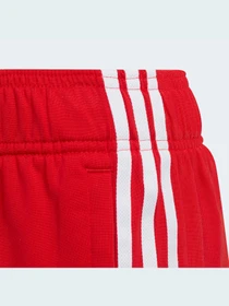 Штани Adidas Adicolor модель HD2047 Фото