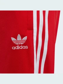 Штани Adidas Adicolor модель HD2047 Фото
