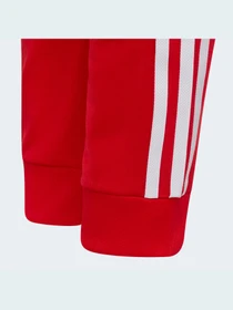 Штани Adidas Adicolor модель HD2047 Фото