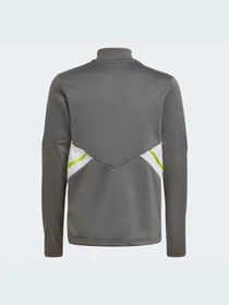 Худи и свитшоты Adidas Condivo модель HD2303 Фото