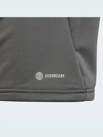 Худи и свитшоты Adidas Condivo модель HD2303 Фото