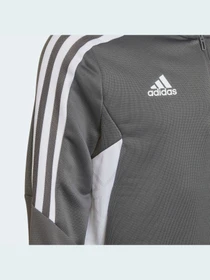 Худи и свитшоты Adidas Condivo модель HD2303 Фото