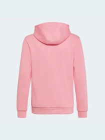 Худі та світшоти Adidas Adicolor модель HK0271 Фото