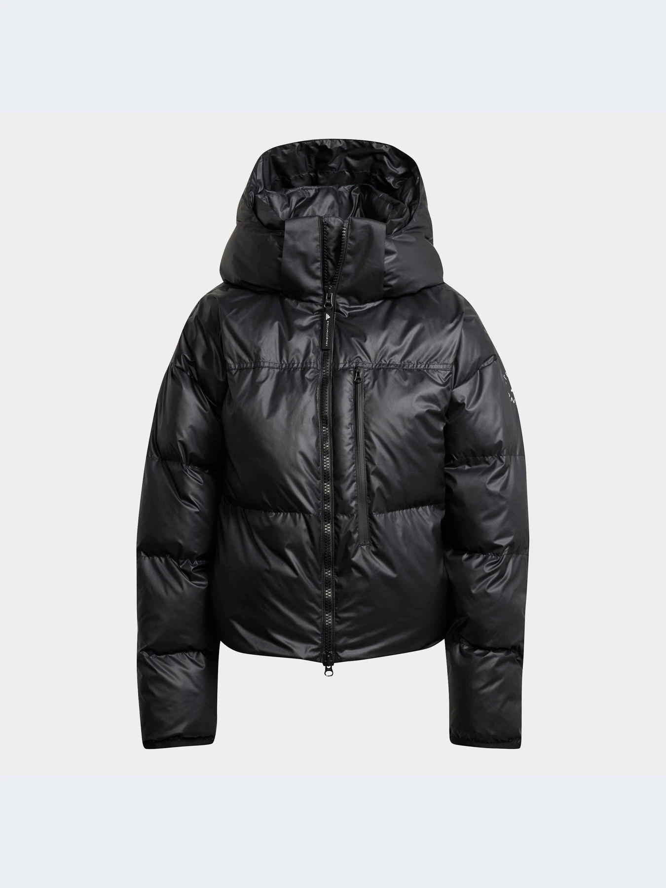 Куртки и дубленки Adidas модель HF9004 Куртки и дубленки Adidas модель HF9004 Фото