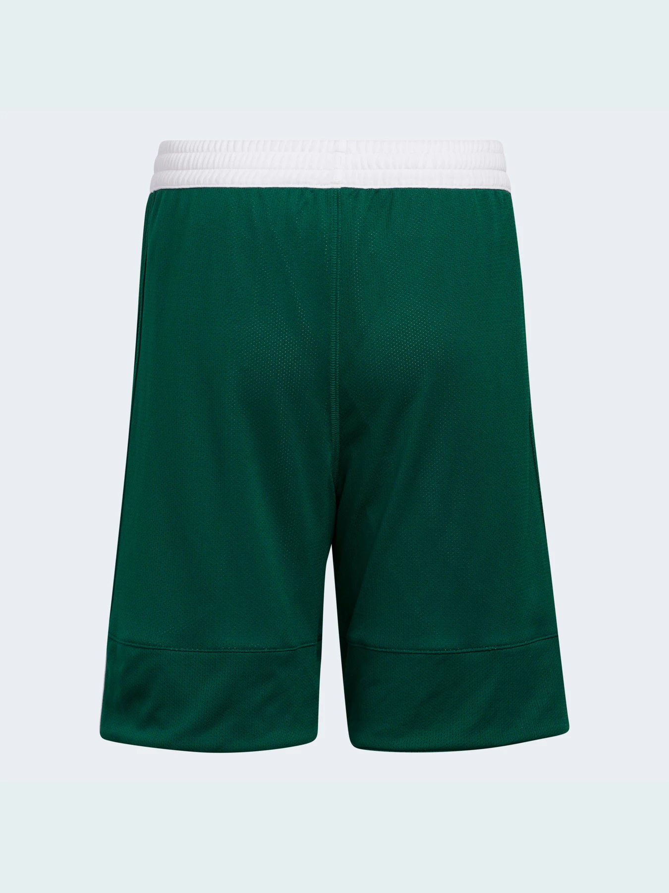 Шорти Adidas модель DY6623 Фото