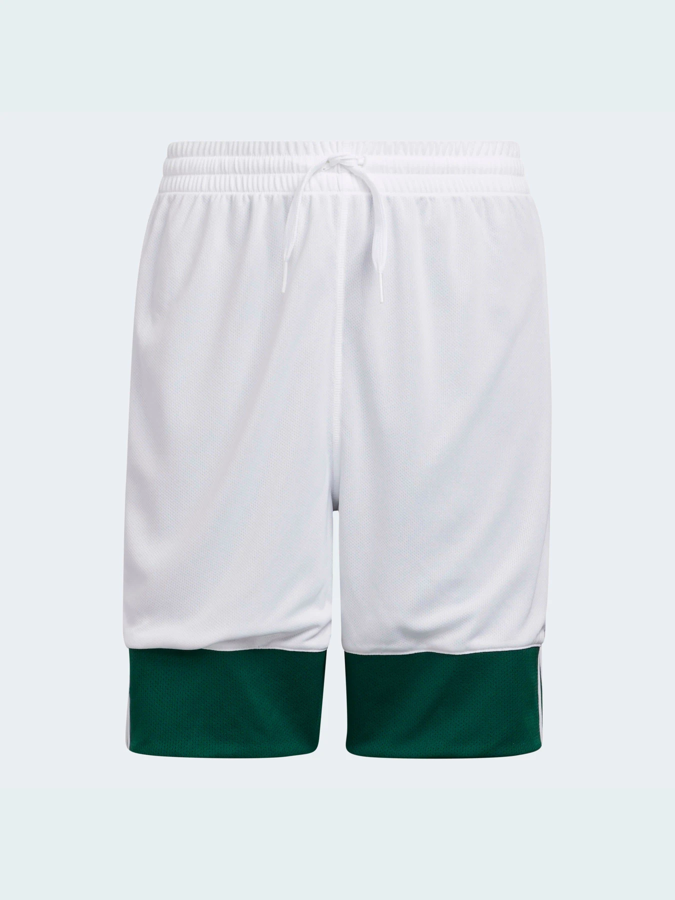Шорти Adidas модель DY6623 Фото