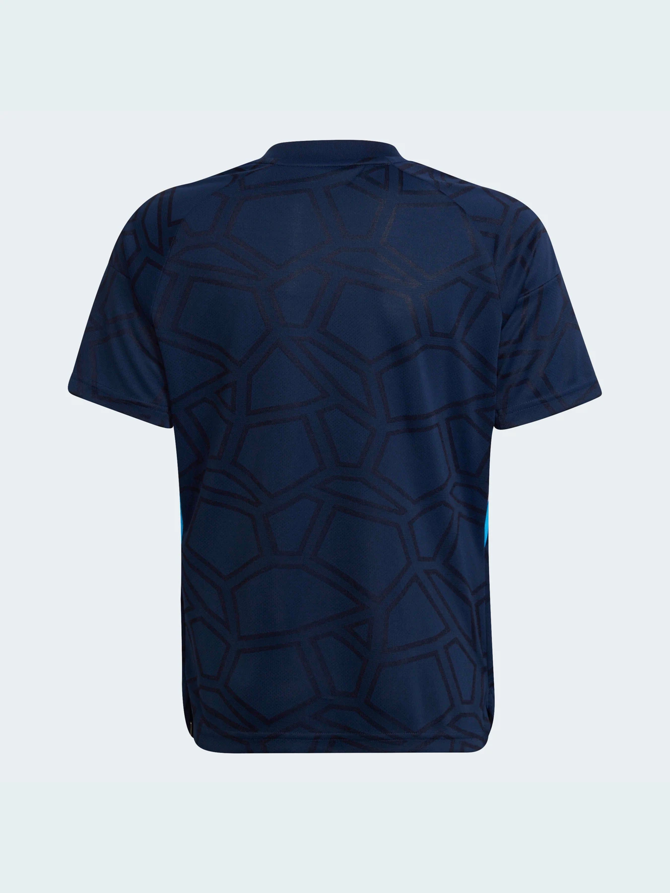 Футболки и поло Adidas Condivo модель HA3560 Футболки и поло Adidas Condivo модель HA3560 Фото