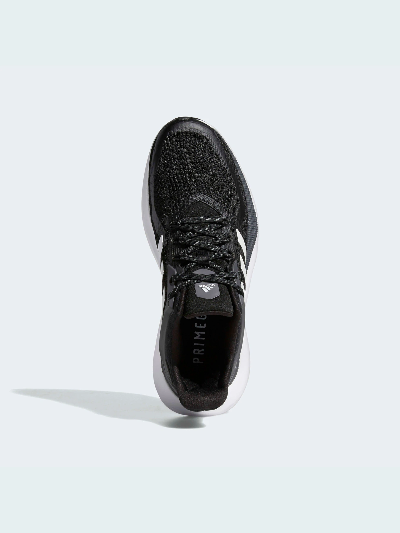 Кроссовки Adidas Alphatorsion модель GZ8766 Фото