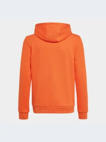 Худи и свитшоты Adidas Adicolor модель HK0273 Фото