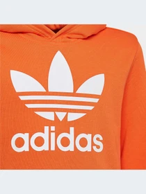 Худи и свитшоты Adidas Adicolor модель HK0273 Фото