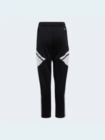 Штани Adidas Condivo модель HA6258 Фото