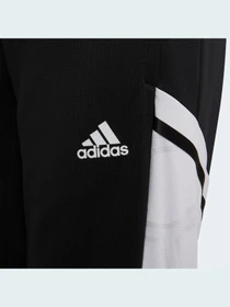 Штани Adidas Condivo модель HA6258 Фото