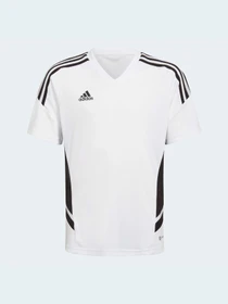 Футболки и поло Adidas Condivo модель HA6277 Фото
