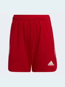 Шорты Adidas Condivo модель HA3563 Фото