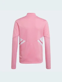 Худи и свитшоты Adidas Condivo модель HD2310 Фото
