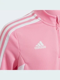 Худи и свитшоты Adidas Condivo модель HD2310 Фото