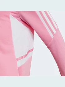 Худи и свитшоты Adidas Condivo модель HD2310 Фото