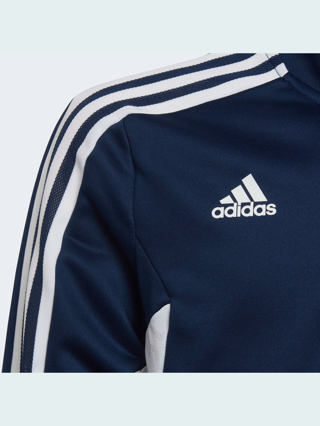 Худи и свитшоты Adidas Condivo модель HA6272 Фото