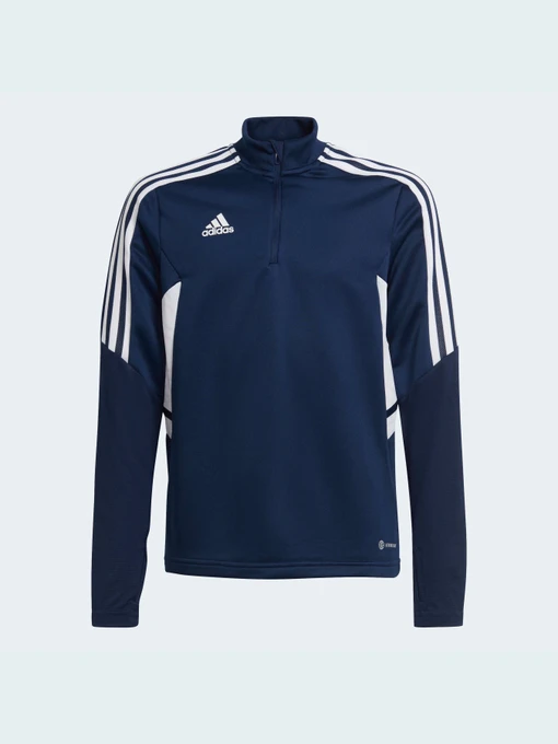 Худи и свитшоты Adidas Condivo модель HA6272 Фото