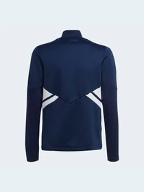 Худи и свитшоты Adidas Condivo модель HA6272 Фото