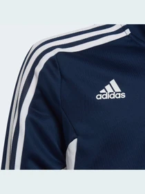 Худи и свитшоты Adidas Condivo модель HA6272 Фото