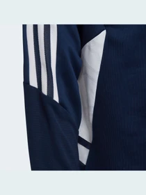 Худи и свитшоты Adidas Condivo модель HA6272 Фото