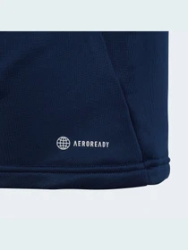 Худи и свитшоты Adidas Condivo модель HA6272 Фото