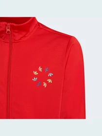 Худи и свитшоты Adidas Adicolor модель HB9460 Фото