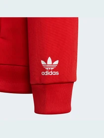 Худи и свитшоты Adidas Adicolor модель HB9460 Фото