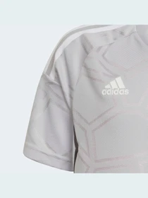 Футболки и поло Adidas Condivo модель HA3559 Фото