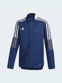 Худи и свитшоты Adidas Tiro модель GK9662 Фото