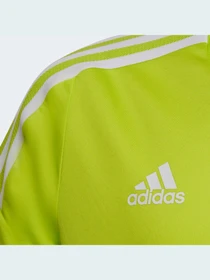 Футболки и поло Adidas Condivo модель HE3063 Фото