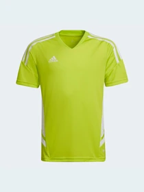 Футболки и поло Adidas Condivo модель HE3063 Фото