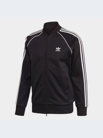 Худі та світшоти Adidas Adicolor модель GF0198 Фото