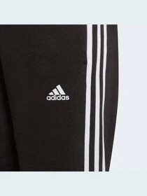Штани Adidas модель GQ8897 Фото