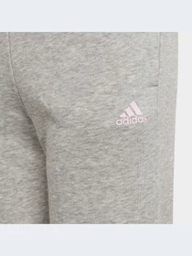 Брюки Adidas модель GS4304 Фото